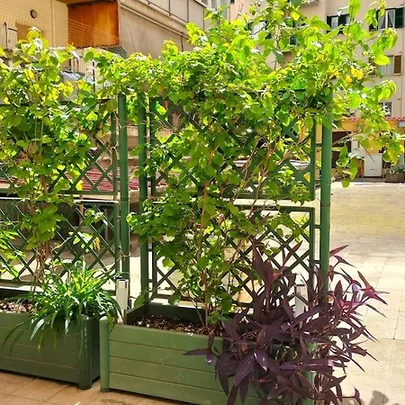 Stefy's House Appio Tuscolano * Rome